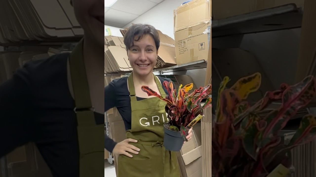 ГЛАВНОЕ НЕ ПЕРЕПУТАТЬ