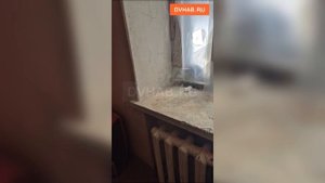 Спасти детей от матери-алкоголички требуют волонтеры