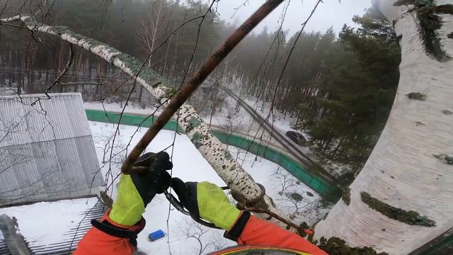 Арбористика!! Аккуратный спил 30 метровой березы рядом с домом! Как спилить опасное высокое дерево? смотреть онлайн
