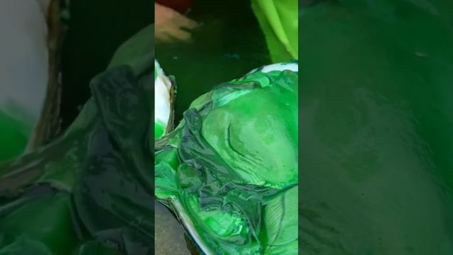 Вот это ракушка 🦪😁
