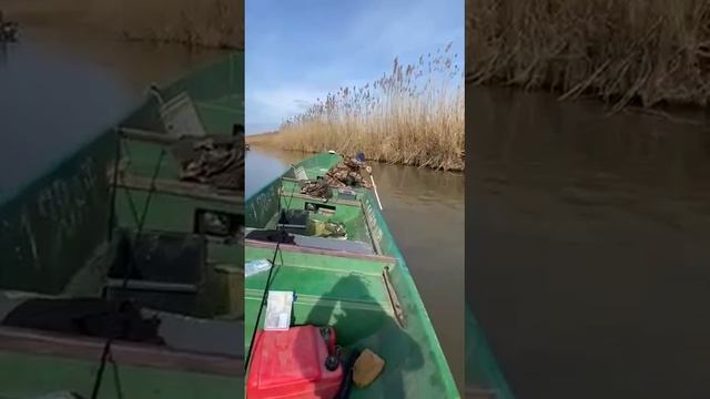 рыбалка что-то невообразимо