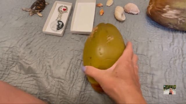 #14 Летим домой. Прилетели в Шереметьево, Кольцово. Что купили в Мале, Катаре. Август 2023 смотреть онлайн