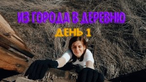 Городские джунгли vs. деревенский рай: почему я выбрал жизнь на природе