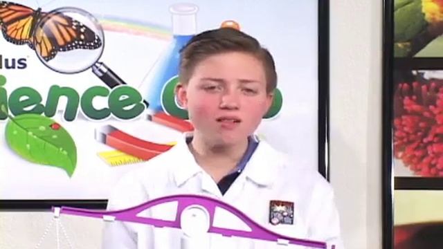 G1 085 Height and Weight B смотреть онлайн