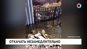 Откачать незамедлительно