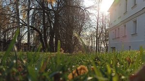 осень золотая.mp4