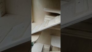 Витрина (клетка) для бурундуков.