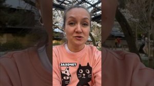Как учиться легко и с удовольствием. Эмоция - любопытство, плюсы и минусы