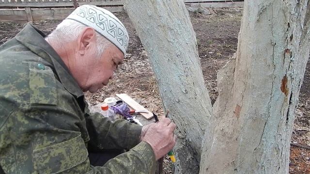 Перепрививка