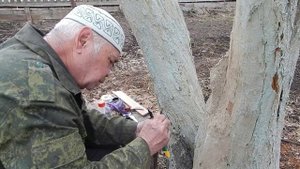 Перепрививка