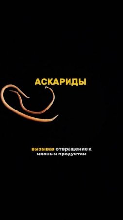 Как паразиты управляют нашим аппетитом