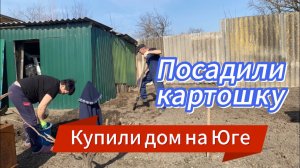 506ч🏡12.03.25-Посадили картошку_Посеяла морковь и горох_Новый проект_Секатор аккумуляторный
