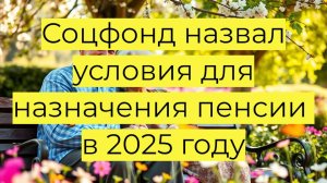 Соцфонд назвал условия для назначения пенсии в 2025 году