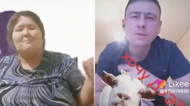 хоть отруби ему копыта, хоть привяжи ему рога хоть накорми его досыта смотреть онлайн