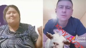 хоть отруби ему копыта, хоть привяжи ему рога хоть накорми его досыта