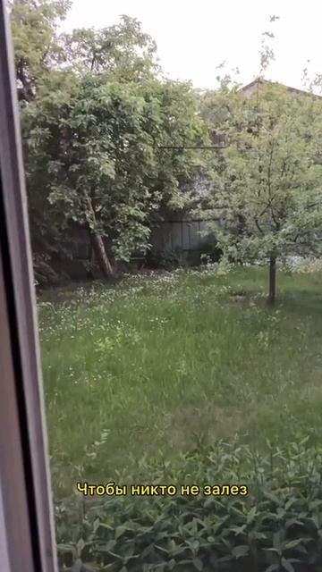 ОЧЕНЬ СИЛЬНО ПЕРЕЖИВАЮ