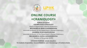 Представление онлайн-курса "Сranioilogi"