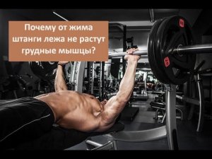 Почему от жима штанги лежа не растут грудные мышцы?