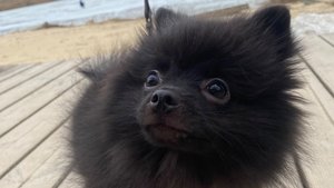 СТРЁМ ИЛИ НОРМ?! 👌🏻