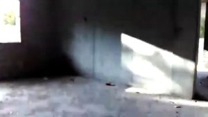 Бегаем от полиции по зоброшке!!!!!