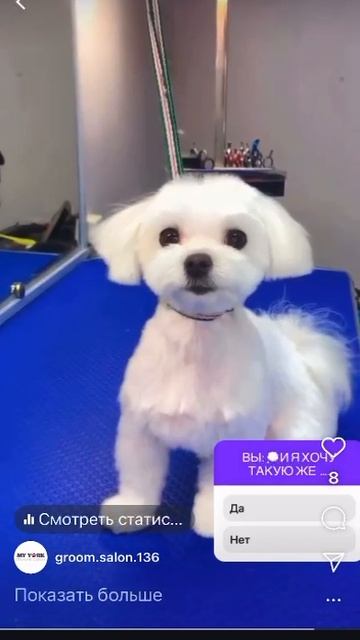 1000467533.mp4 смотреть онлайн