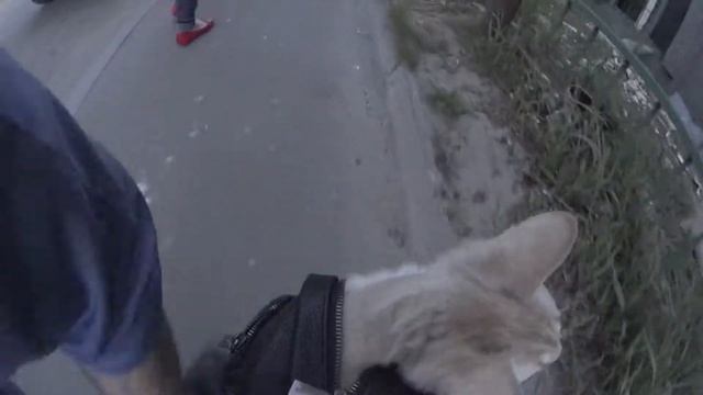 Как Бани в гости сходил