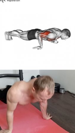 ОТЖИМАНИЕ, КОТОРЫЕ ВЗОРВУТ ТВОИ МЫШЦЫ