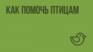 Как помочь птицам. Видеоурок по окружающему миру 1 класс