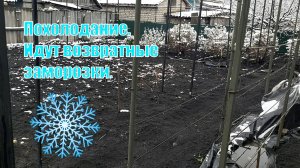 Возвратные заморозки на винограднике | Похолодание