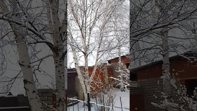 завалило нас снегом