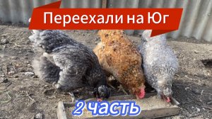 508ч🏡13.03.25-2 часть/Натянули сетку/Сгорела станция/Еще грядка готова/Обрезала хризантемы