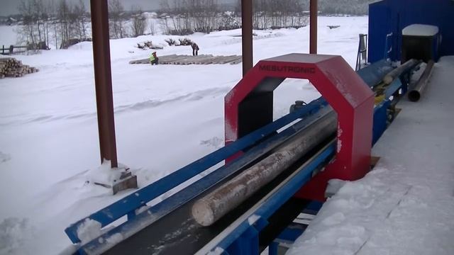 Линия сортировки пиловочника Петрозаводск