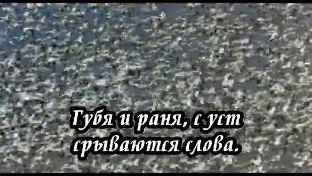 Ксения Лапицкая - Как в стаи птицы