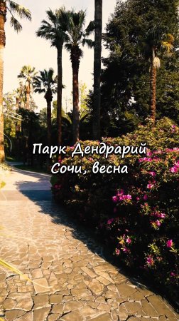 Парк Дендрарий, Сочи. Весна