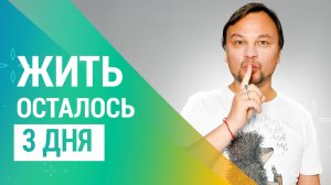 95% людей — мёртвые при жизни. Ты один из них?
