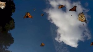 Буктрейлер «Баранкин, будь человеком!»
Конкурс  «Читающие родители - читающие дети»