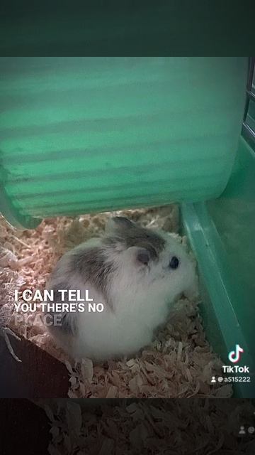 26 июля 2024 г. смотреть онлайн