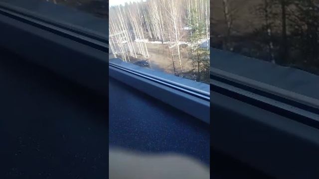 поаомши