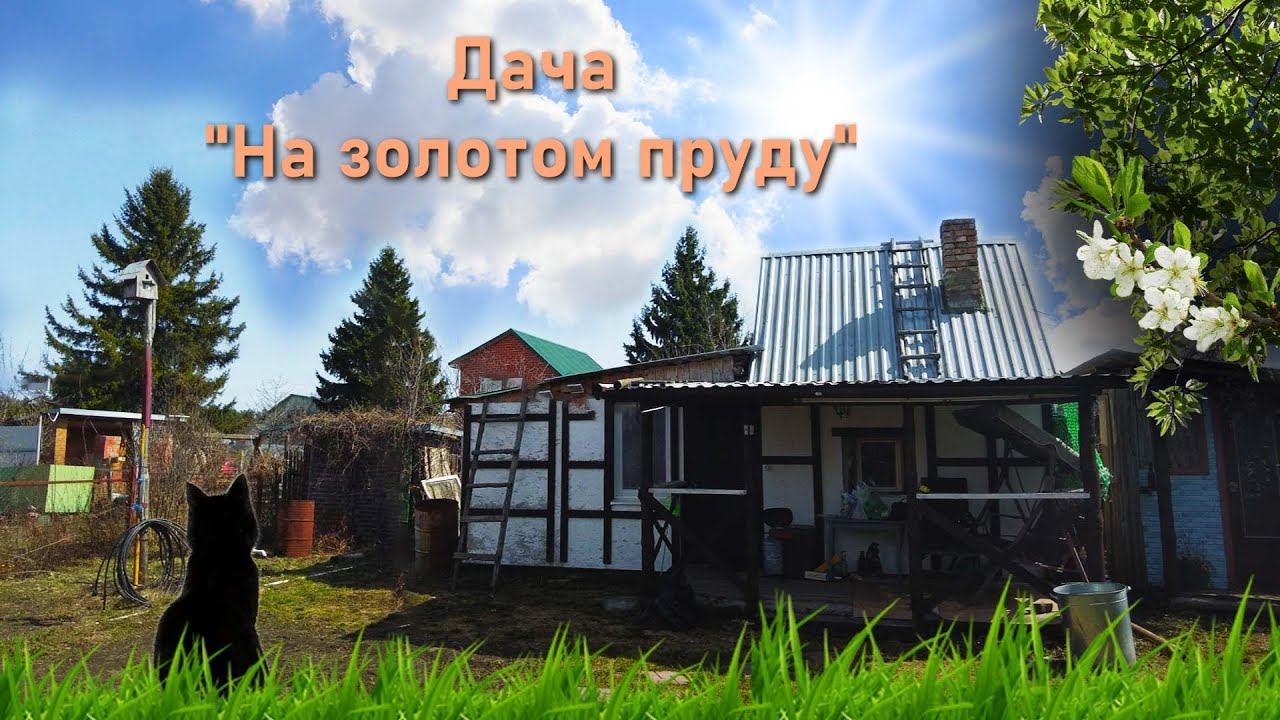 Мечтаем жить на даче,а там надо постоянно работать
