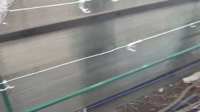 РАБОТЫ в АПРЕЛЕ с САДОМ и ВИНОГРАДОМ. "ПЛАЧ" ВИНОГРАДА. Течёт пасока. Что делать? смотреть онлайн