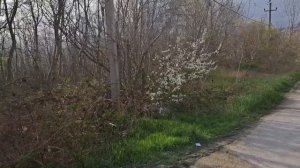 Участок 25 соток в живописном месте.