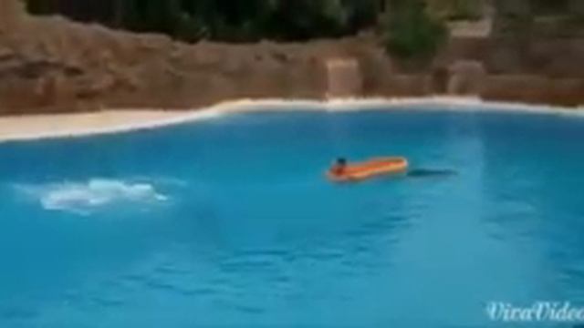 Дильфинарий. смотреть онлайн