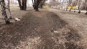 О воспитании тех, кто мусорит.