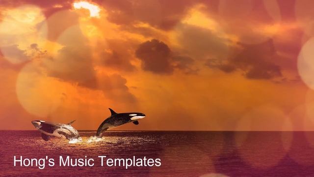 Filmora Effects (Bokeh Blur 6) 필모라 영상효과 THYKIER - Shimmer (NCS) смотреть онлайн