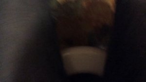 Я сижу на унитазе !!!