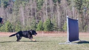 Meteor von Wohlstein