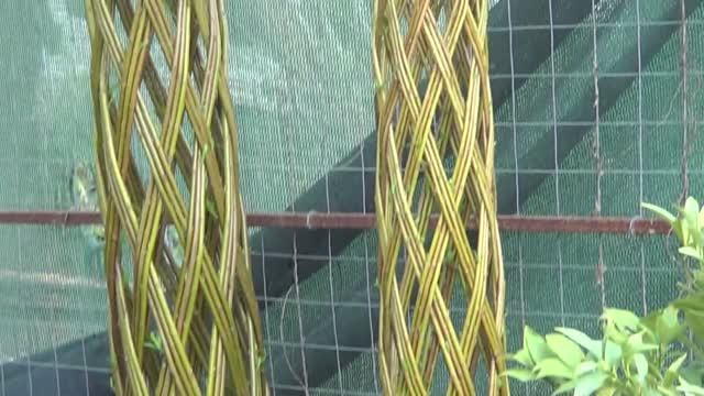 ДЕРЕВЬЯ ПРОПАЛИ, ЗАЛИЛО смотреть онлайн