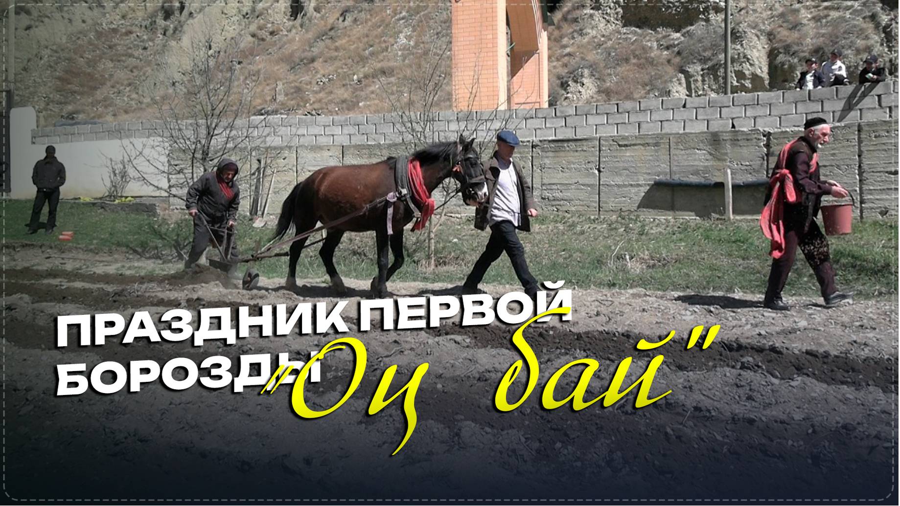 Яркий праздник весны и первой борозды «Оц бай» прошёл в Анди