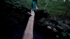 Parkour Vines: Как быстро помогут друзья? Очень медленно, надо ведь по ржать.