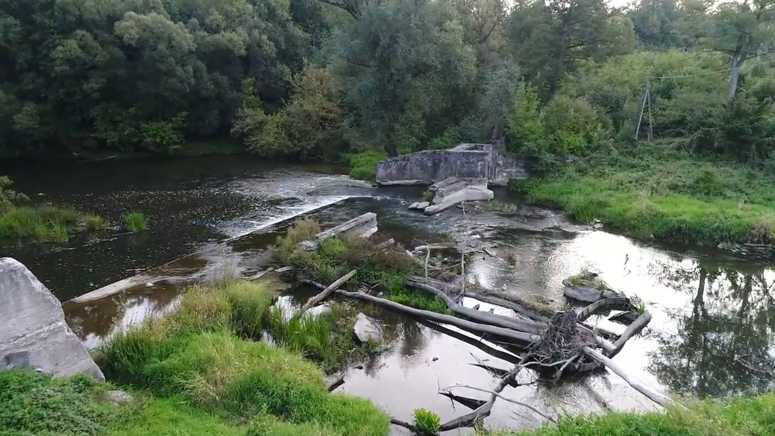 12.09.2018 Голавли в реке Анграпа у деревни Константиновка